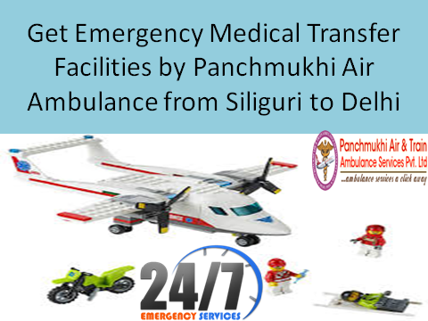 Get Emergency medical facilities by panchmukhi Air Ambulance from Siliguri to Delhi1